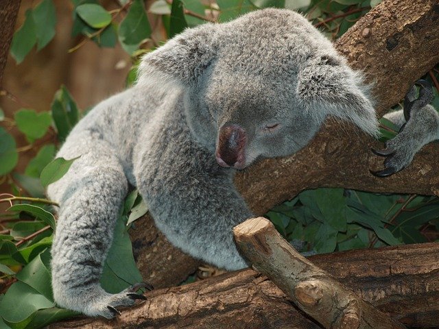 質の良い睡眠